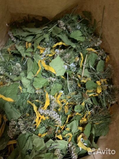 Травяной сбор для повседневного использования