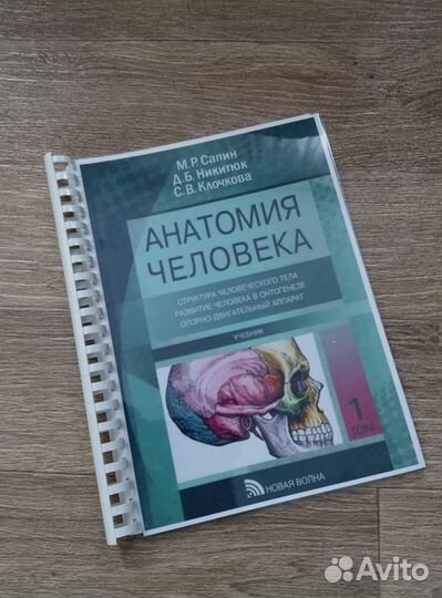 Анатомия человека., М. Р. Сапин., Д. Б. Никитюк