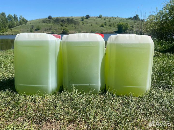 Хлорелла для пруда