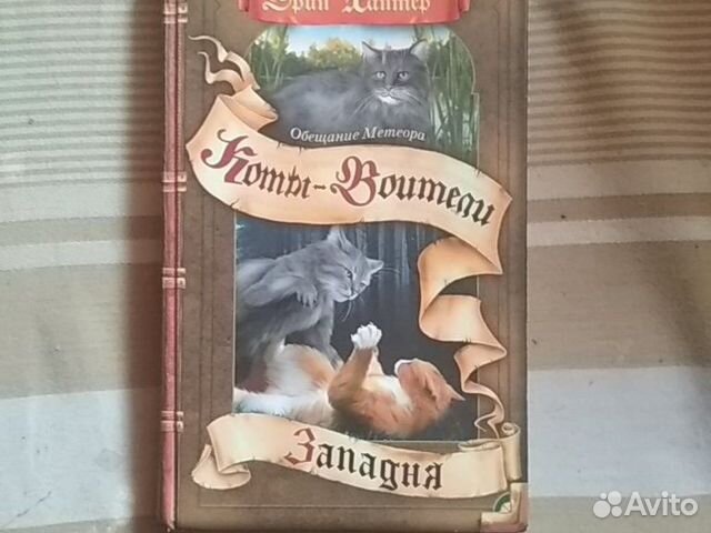 Коты воители обещание метеора прозрение. Коты-воители. Коты воители обещание метеора. Коты воители обещание метеора. Обещание метеора.