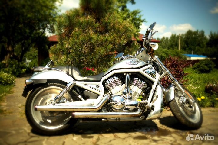 Harley-davidson V-ROD