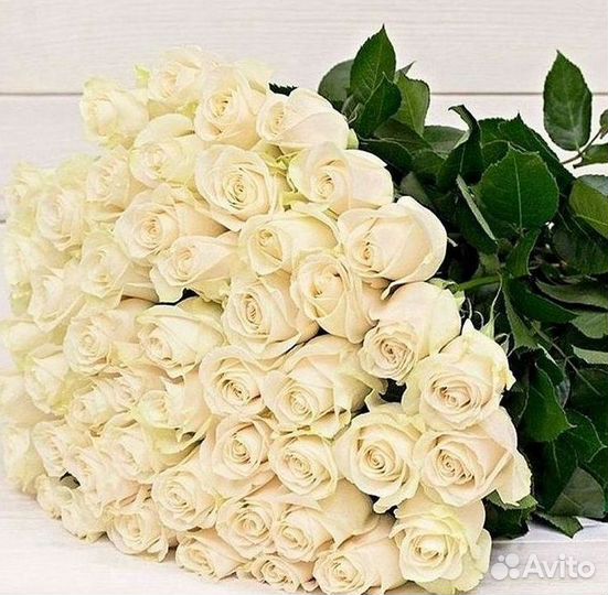 Высокие Розы с Доставкой