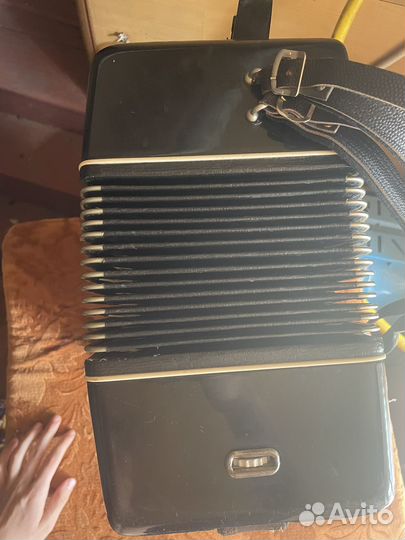 Баян рубин 5