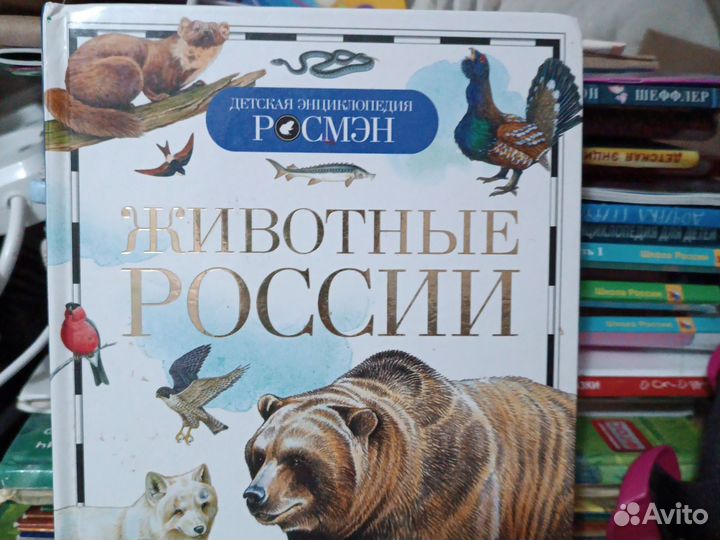 Книги про животных