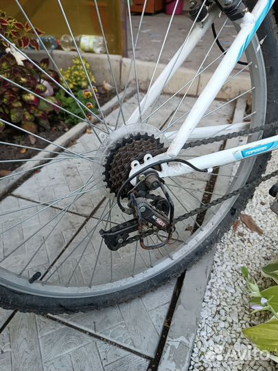 Велосипед взрослый