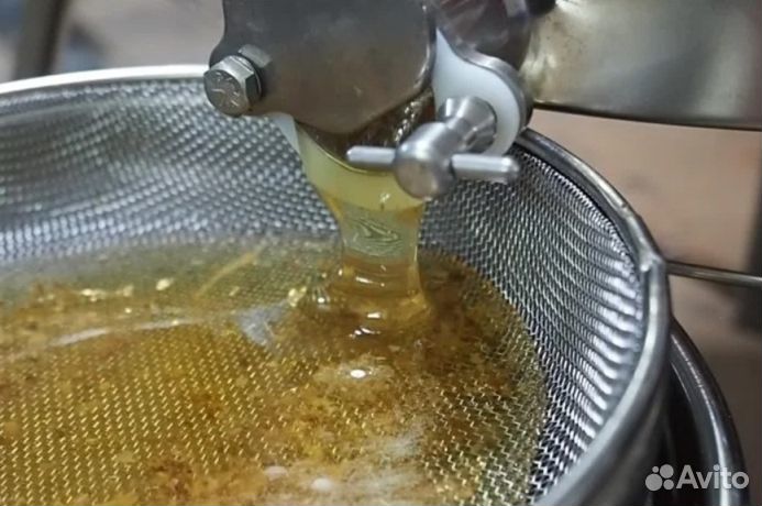 Мёд натуральный с Алтая опт минимально 16 кг