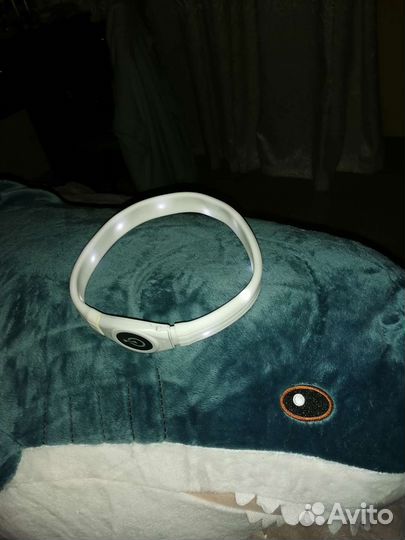 Ошейник для собак