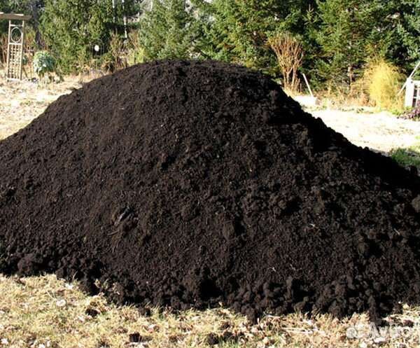 Грунт плодородный чернозём перегной