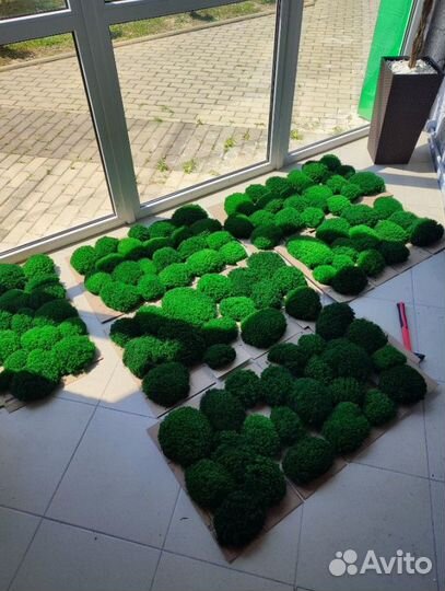 Отличный натуральный мох для декора