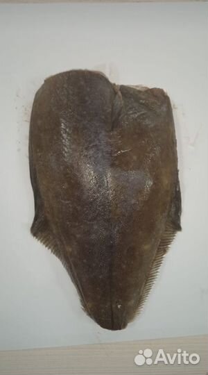 Палтус белокорый рыба свежемороженая