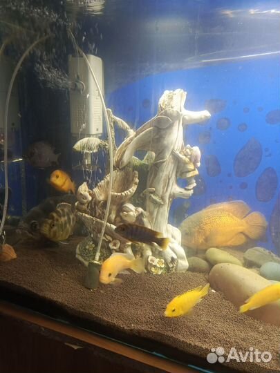 Аквариум с тумбой