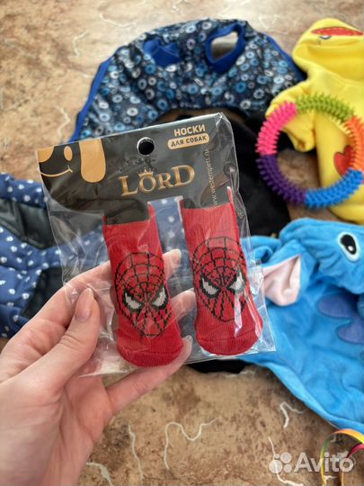 Одежда, товары для собак