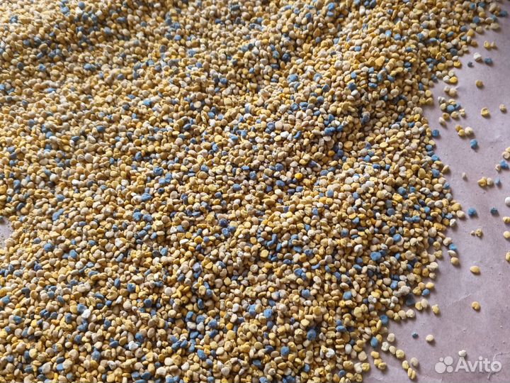 Пыльца пчелиная