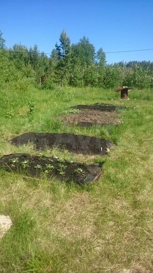 Участок 10 сот. (СНТ, ДНП)