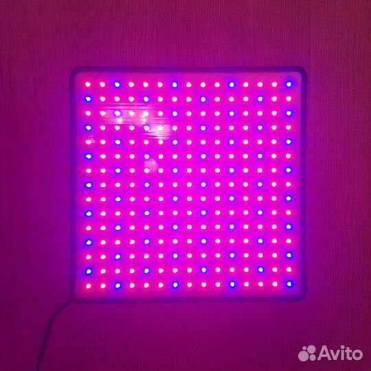 Фитолампа LED светильник полного спектра 50 ватт