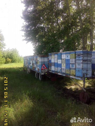 Пчелоприцеп
