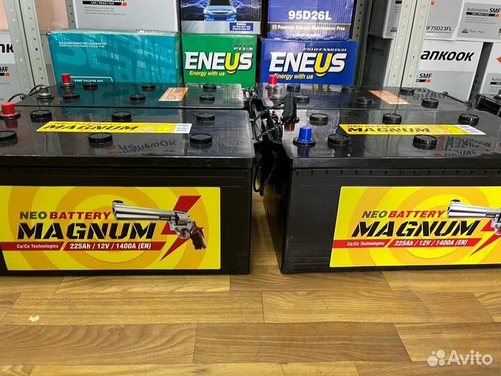 Аккумулятор 225 Ач Magnum Доставка