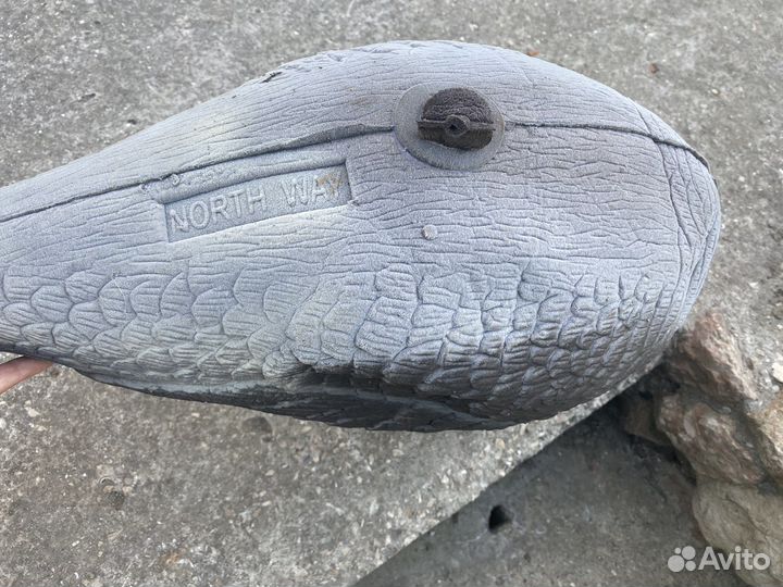 Подсадные гуси