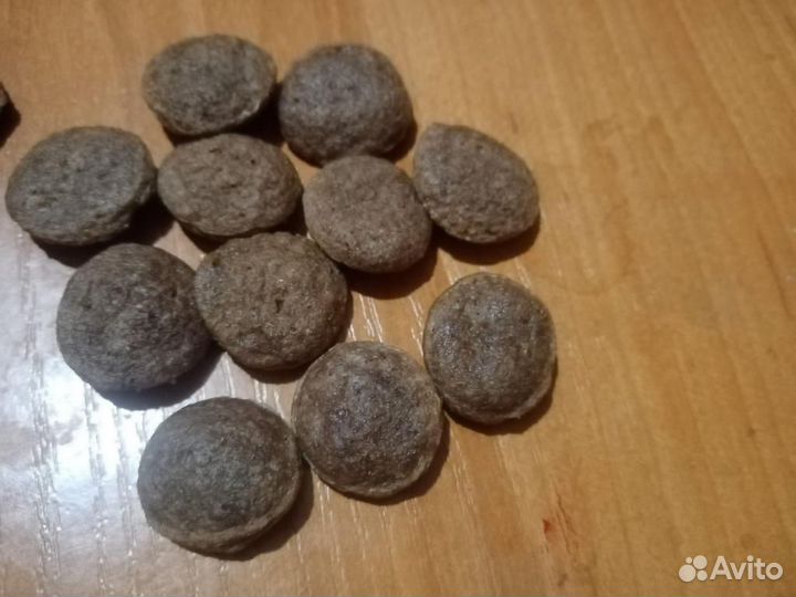 Производство сухого корм для собак и кошек для стм