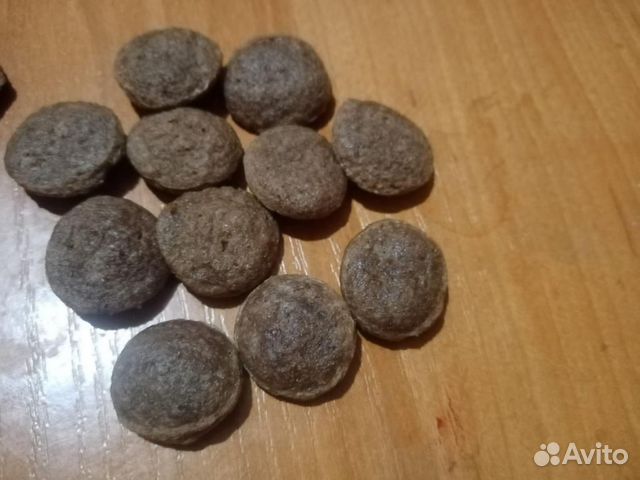 Производство сухого корм для собак и кошек для стм