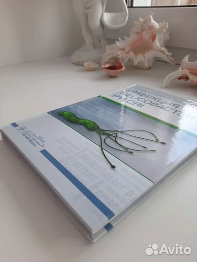 Инфекция Helicobacter Pylori