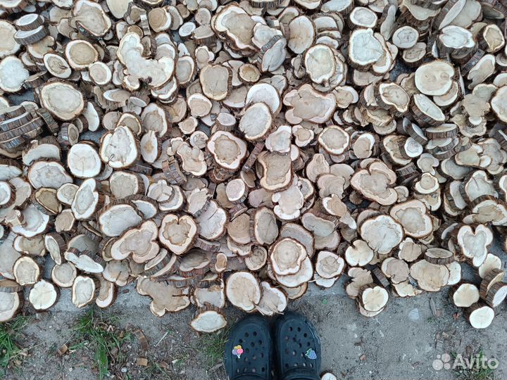 Набор спилов можжевельник береза