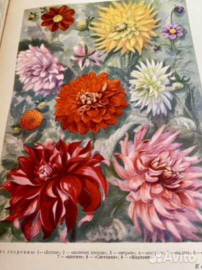 Большая советская энциклопедия СССР