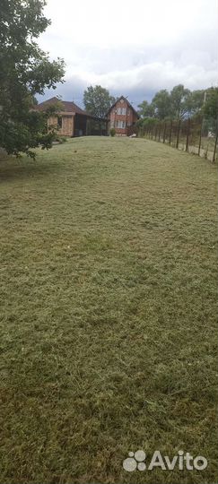 Покос травы