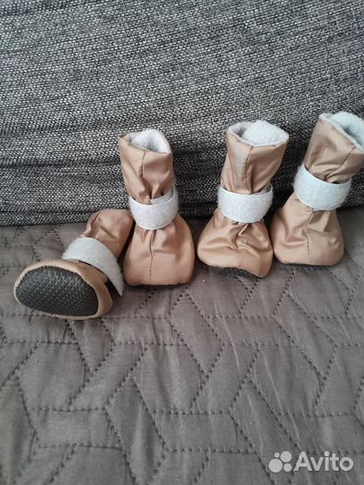 Ботинки обувь для собак