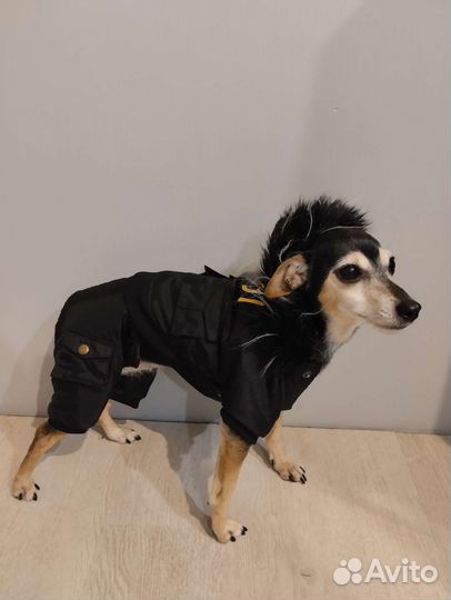 Куртка для собаки