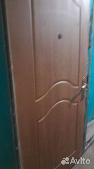 Дверь входная 1000