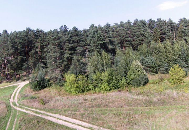 Участок 5,3 га (ИЖС)