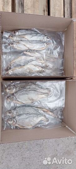 Астраханский вяленый лещ