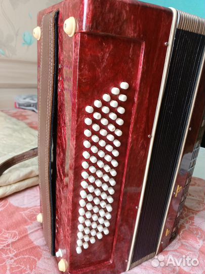 Аккордеон