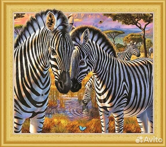 Алмазная мозаика 40x50 Зебры у водопоя