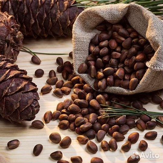 Кедровый орех