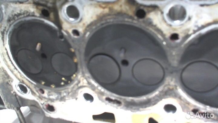 Головка блока (гбц) Ford Focus 3, 2011