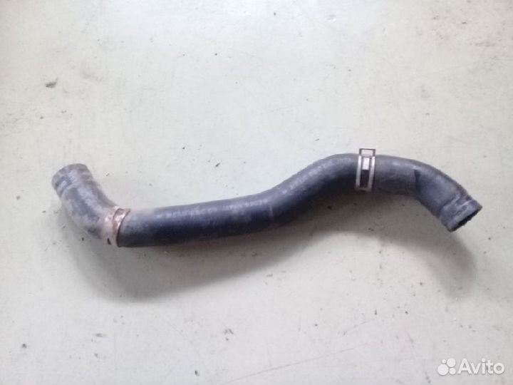 Патрубок охлаждения (радиатора) MR431276нижний Mit