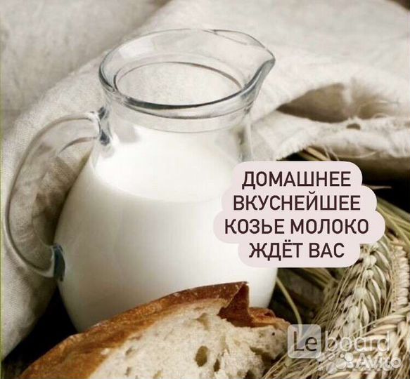 Продам козье молоко и сыр