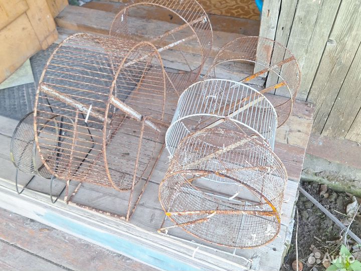 Колесо для животных