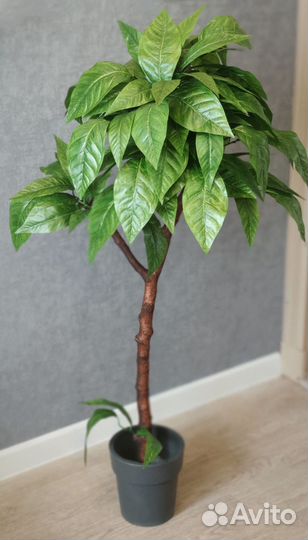 Манго искусственное дерево