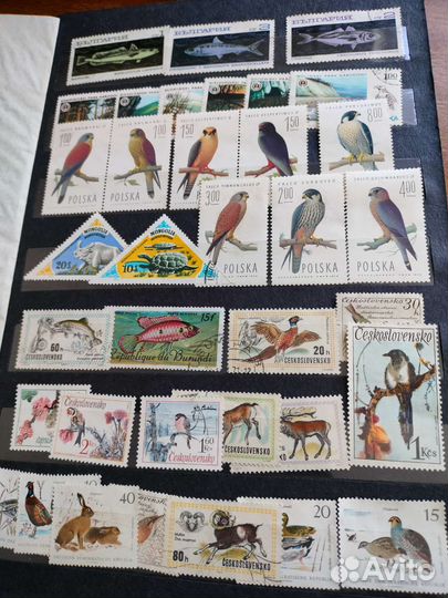 Марки фауна, флора