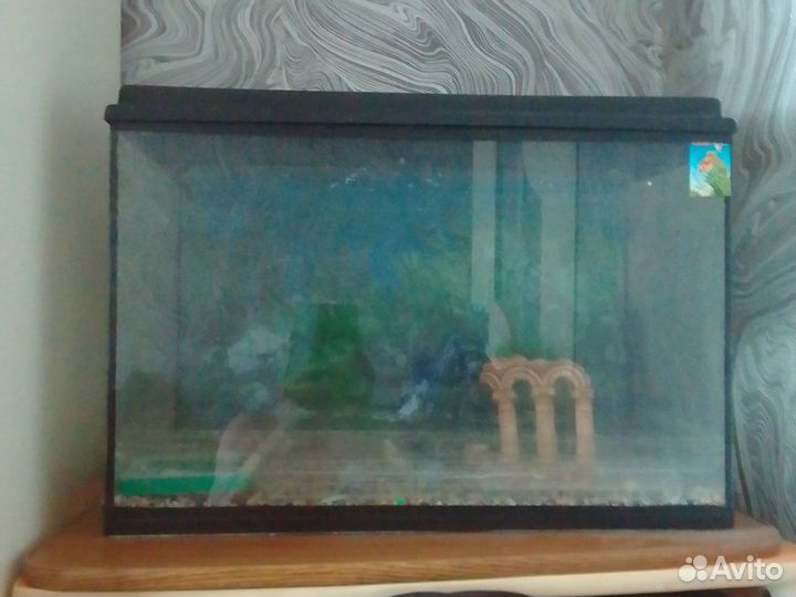 Аквариум 60 литров