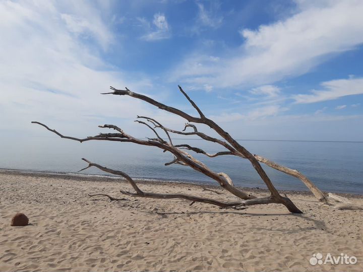 Куршская коса экскурсия