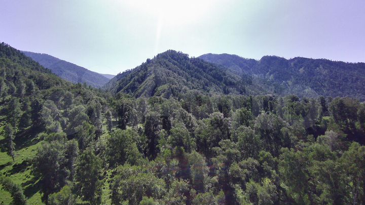 Дача 110 м² на участке 12 сот.