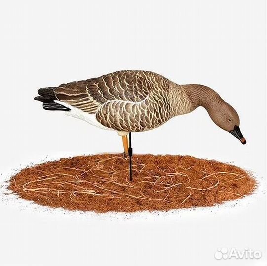 Чучела гусь гуменник 5шт + 1 робот DM-777502