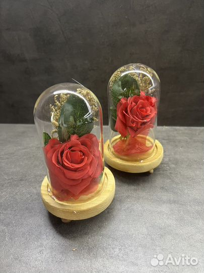 Роза в колбе