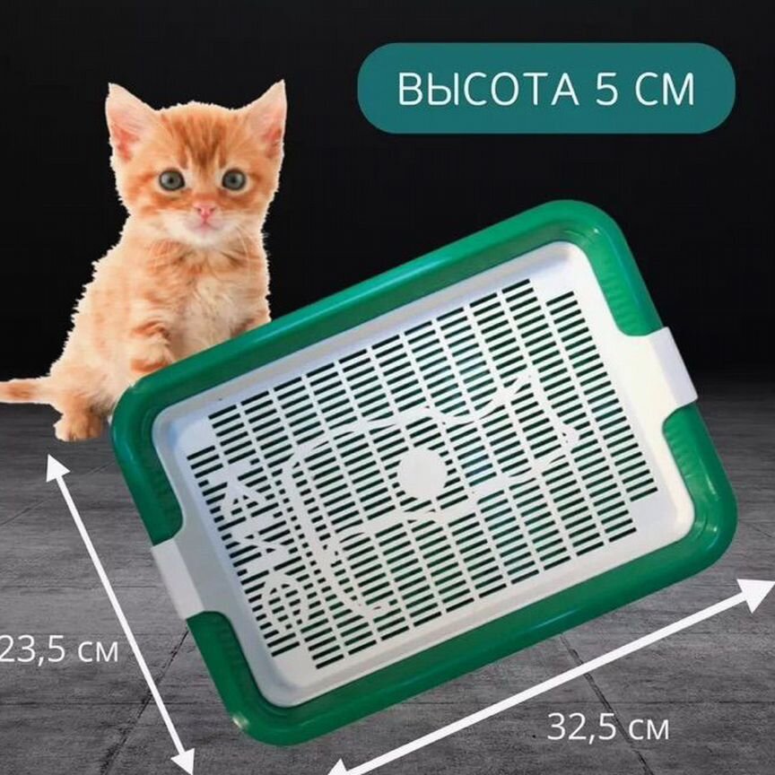 Лоток для котят