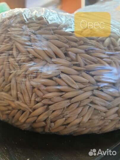 Корма для с/х жив-х - горох, овес, ячмень, пшеница