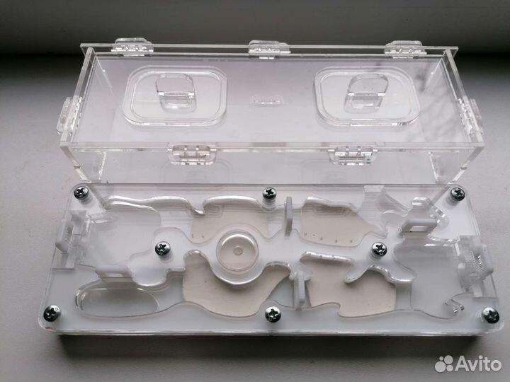 Формикарий для муравьёв ферма